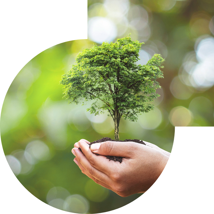 关怀人类、文化、环境与社会